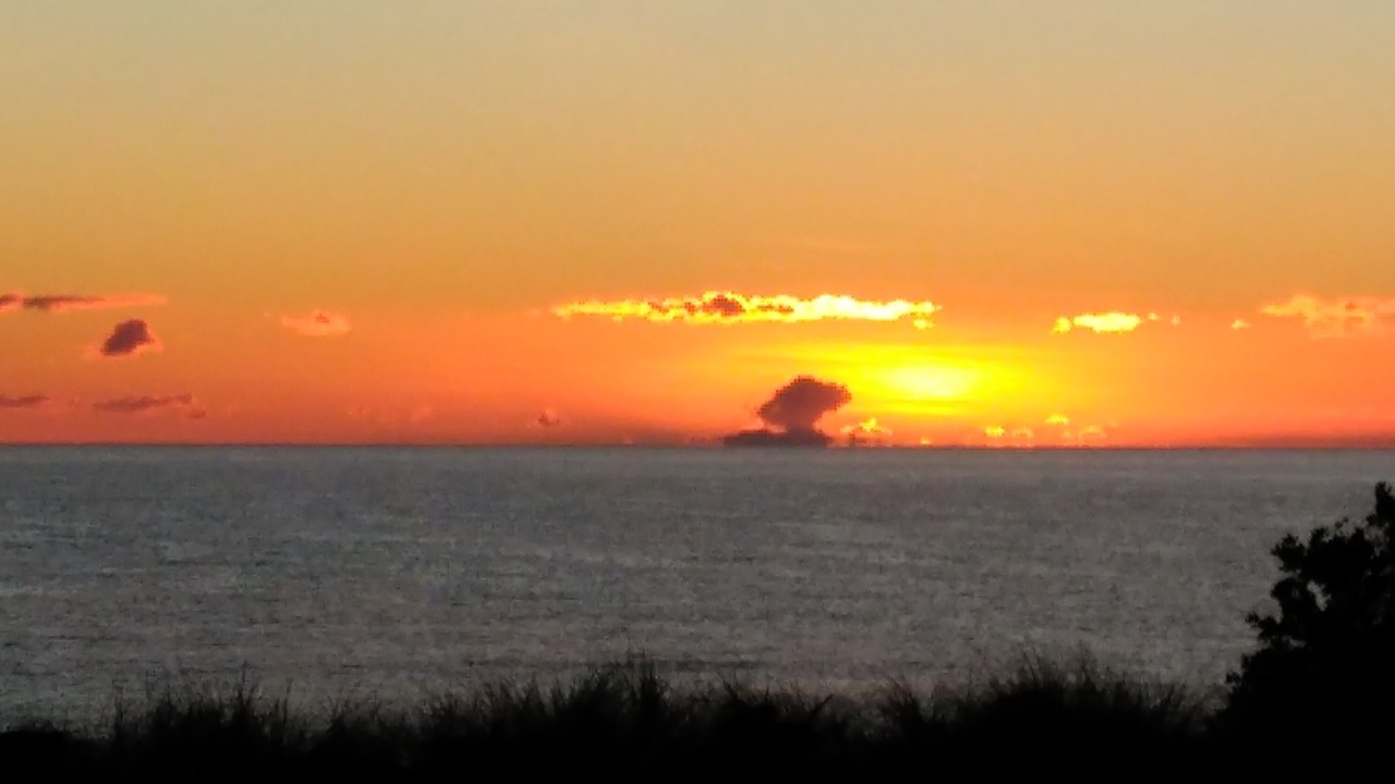 Photo of Others in Pukehina