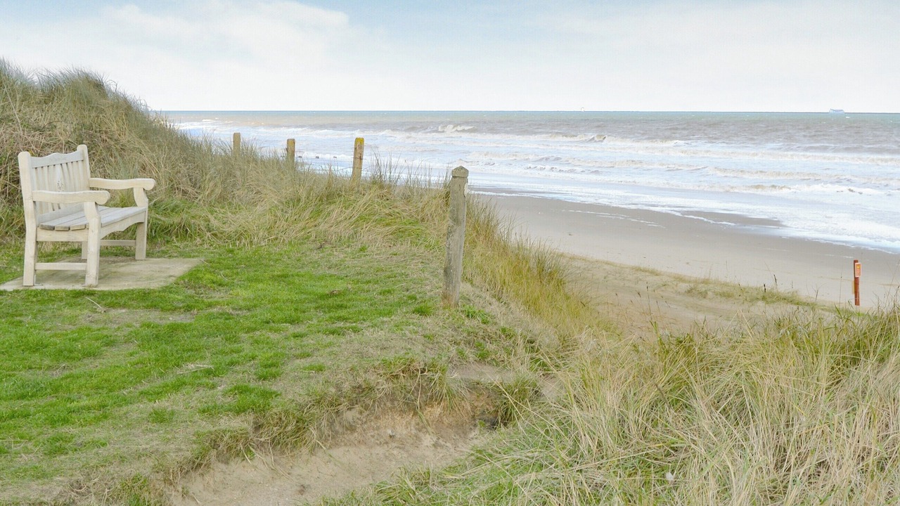 Photo of Others in Bacton