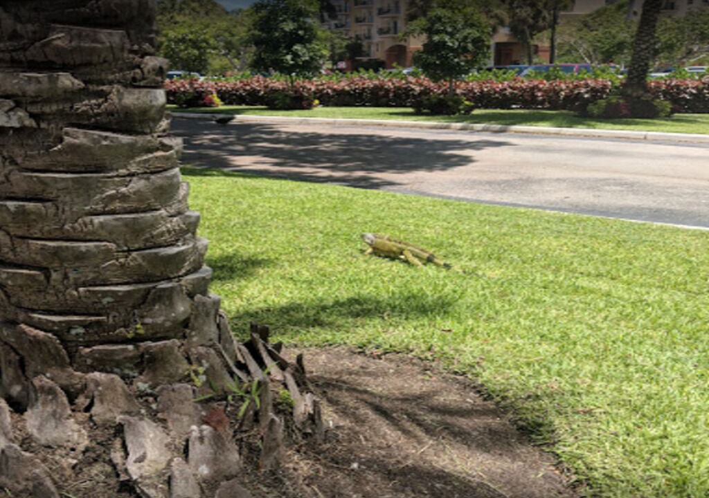 Photo of Outdoor in Survey Creek