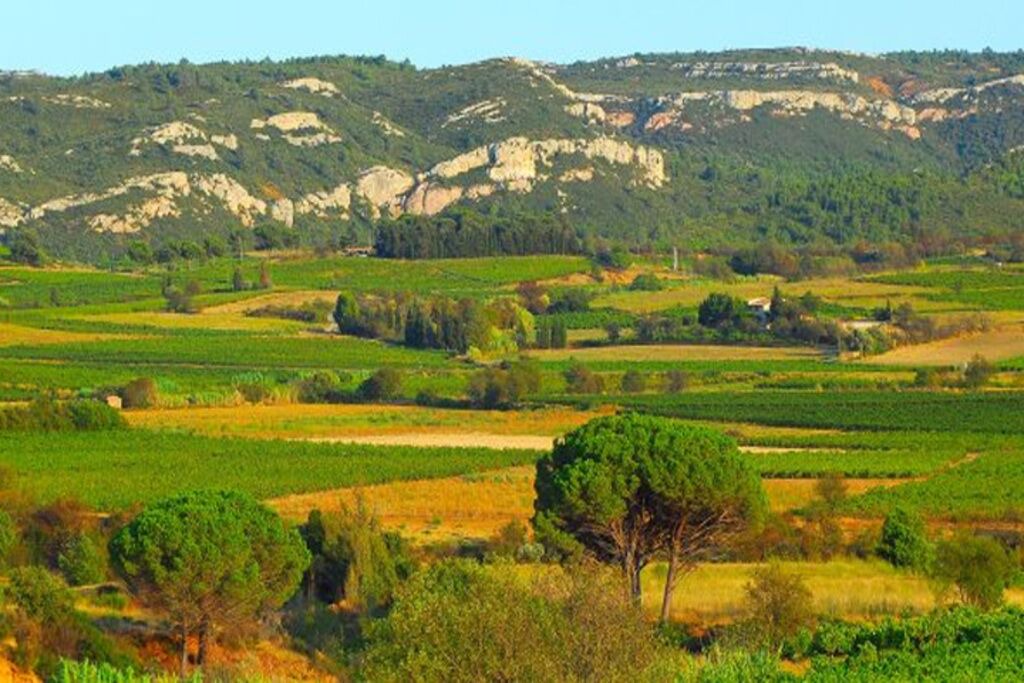 Photo of Others in Saint-Laurent-de-la-Cabrerisse