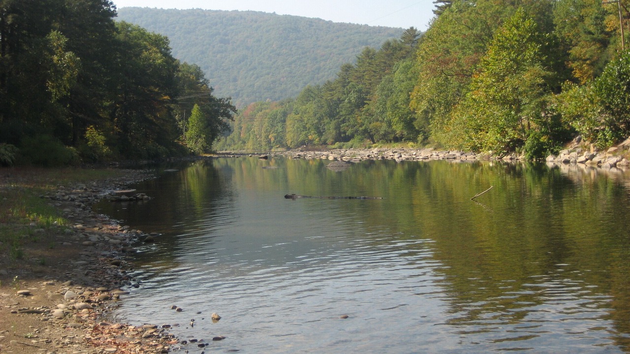 Photo of Others in Bodines