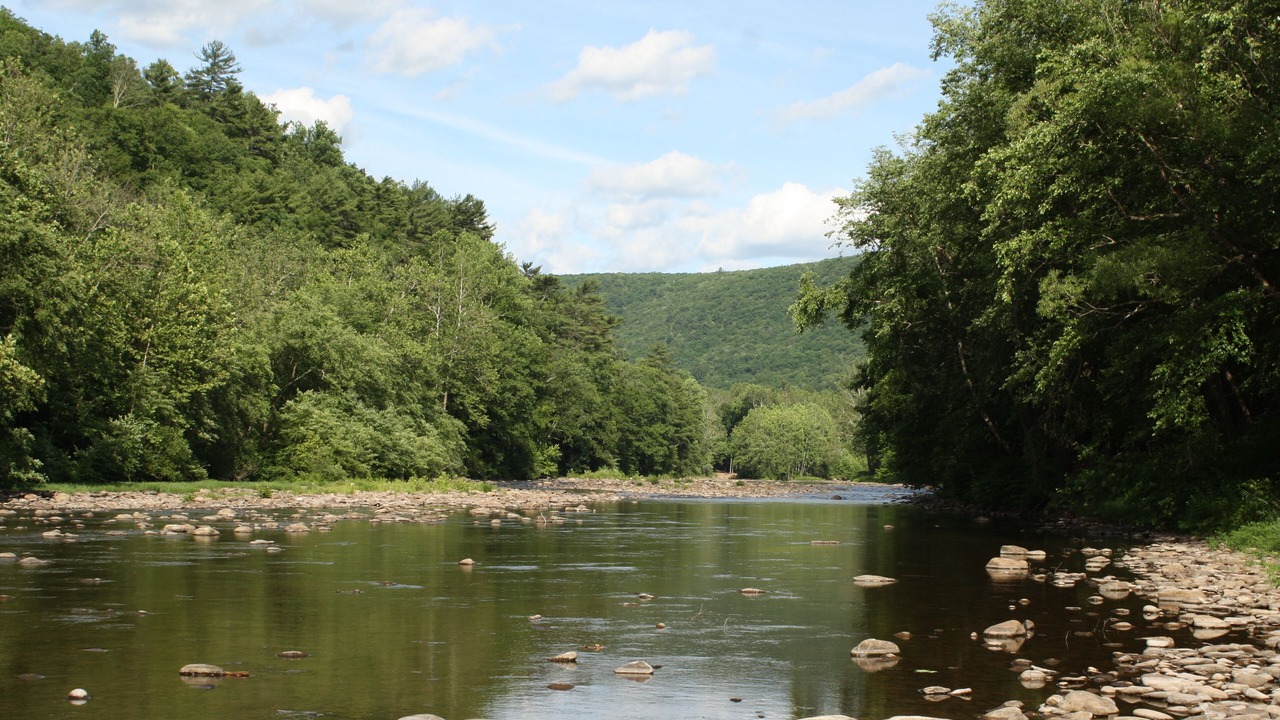 Photo of Others in Bodines