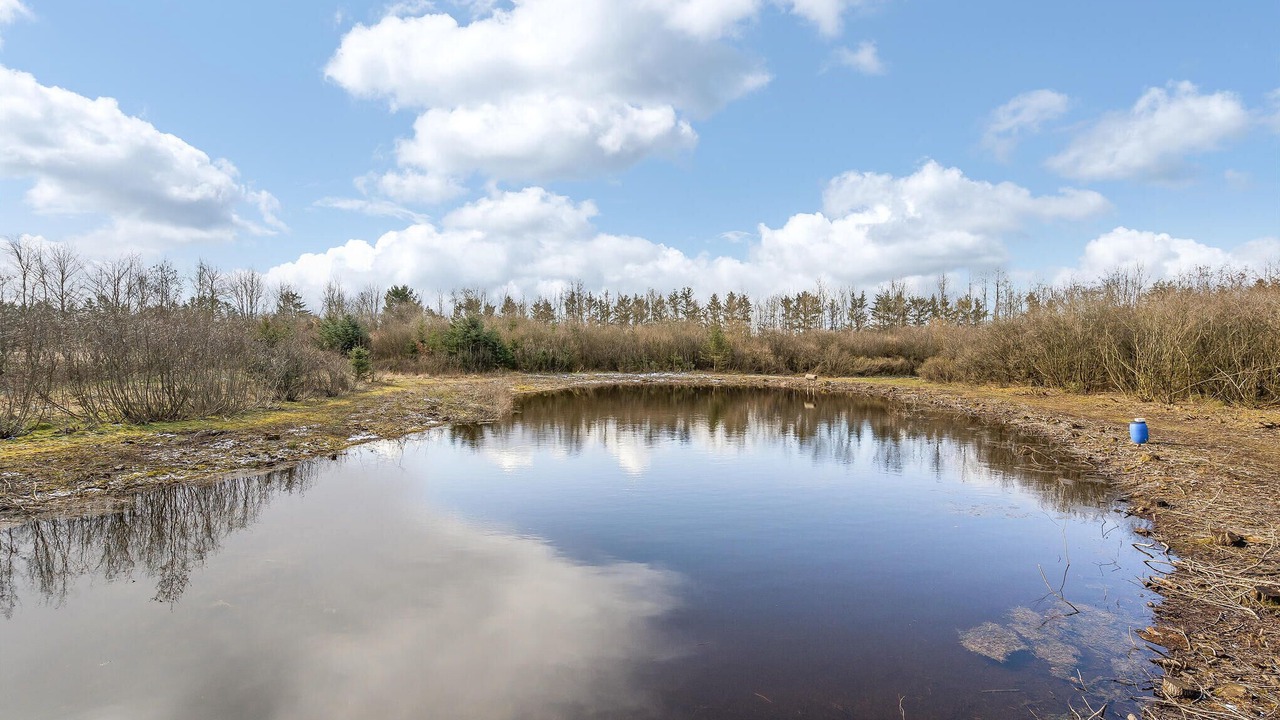 Photo of Others in Grindsted