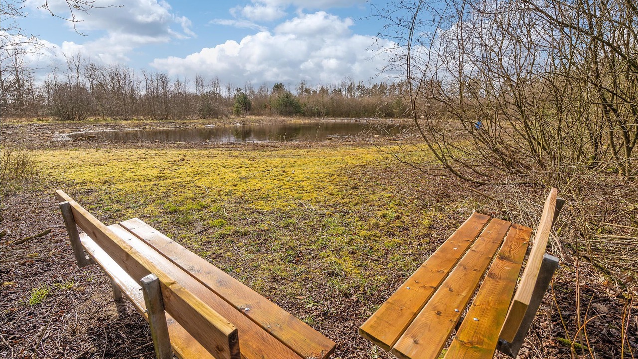 Photo of Others in Grindsted