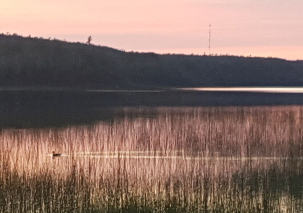 Photo of Outdoor in Timiskaming District
