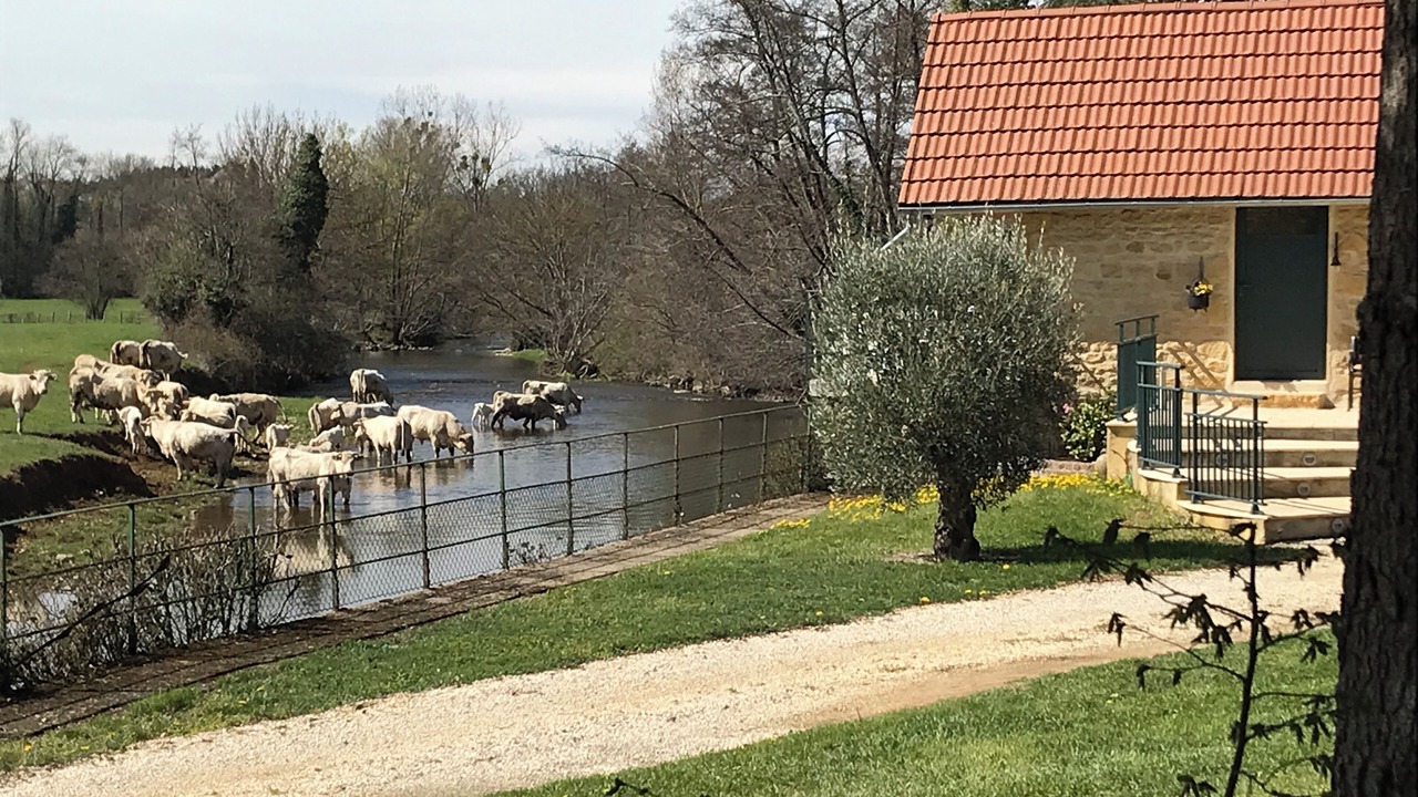 Photo of Outdoor in Saint-Nizier-sous-Charlieu