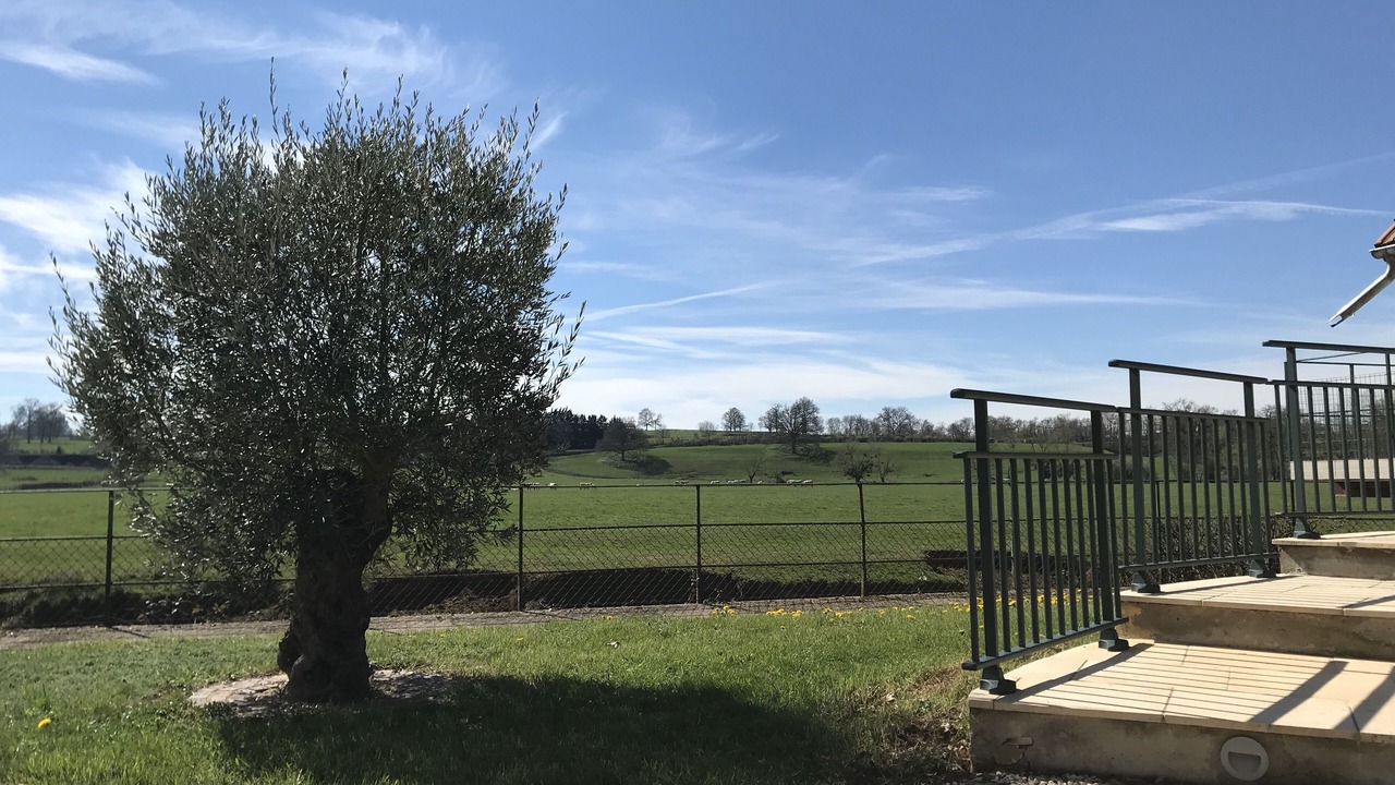 Photo of Outdoor in Saint-Nizier-sous-Charlieu