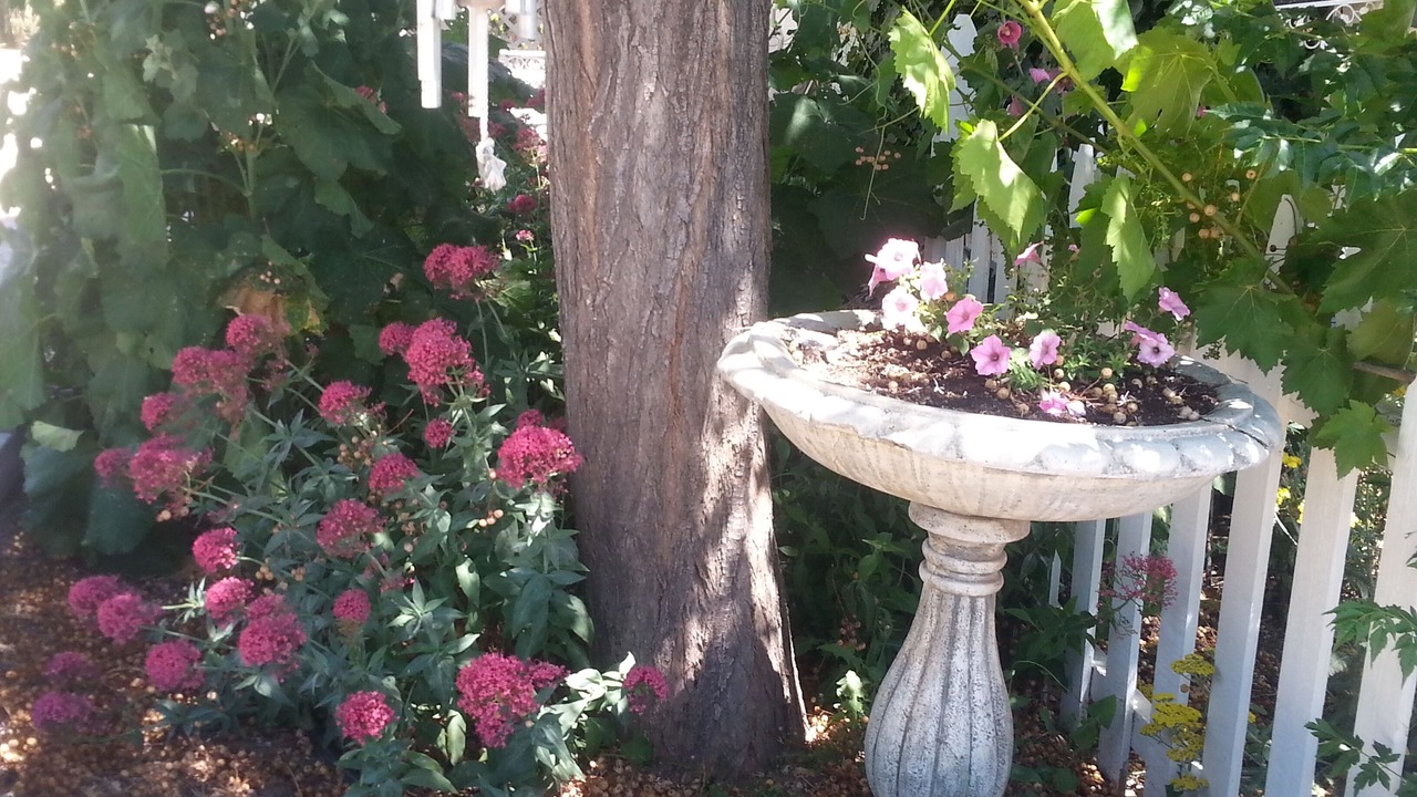 Photo of Outdoor in Paso Robles