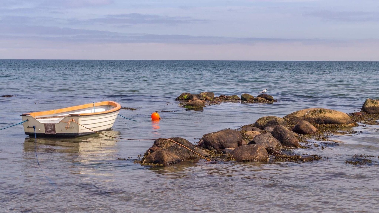 Photo of Others in Bratten Strand