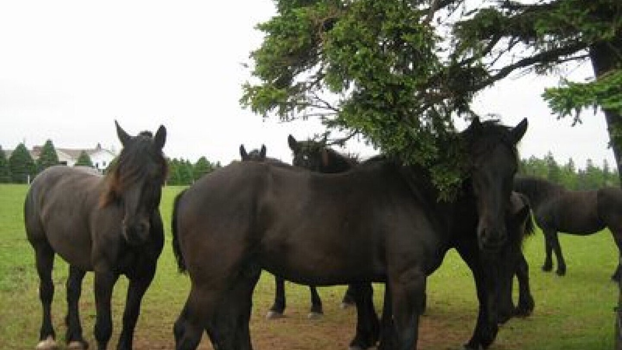 Photo of Others in Chelton