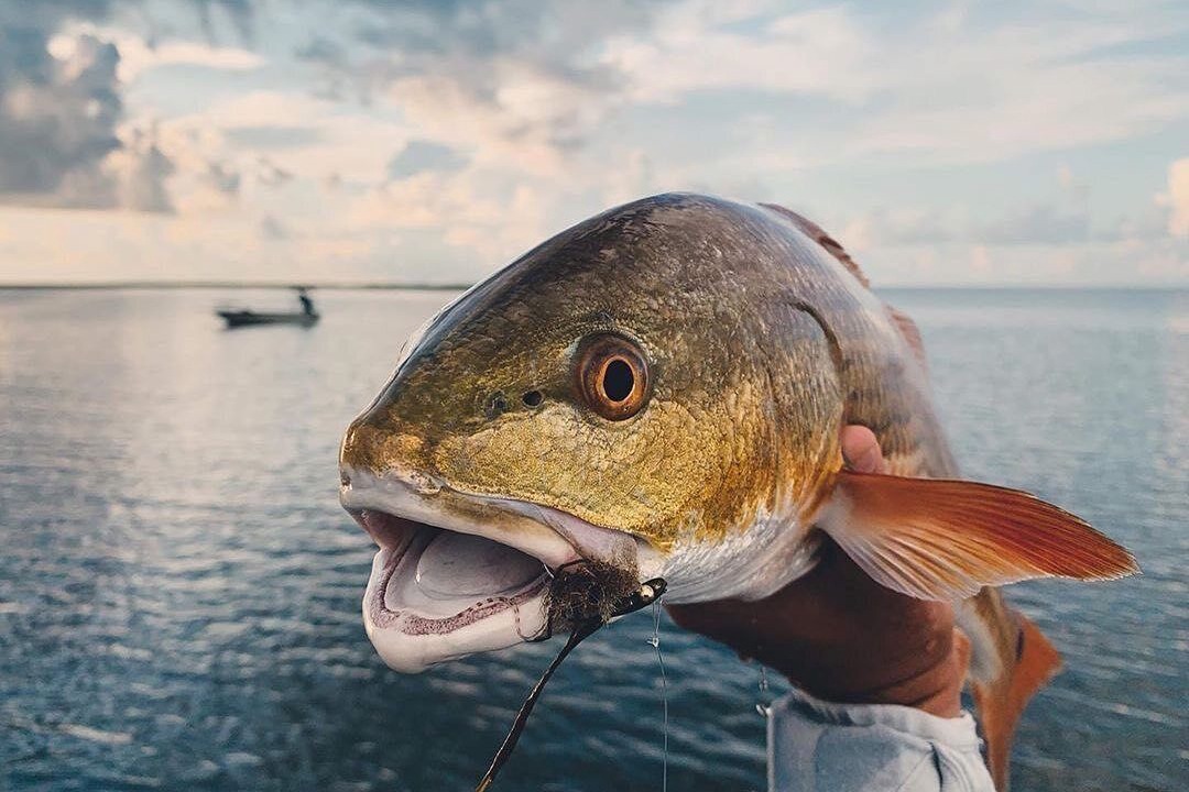 Photo of Others in Gulfport