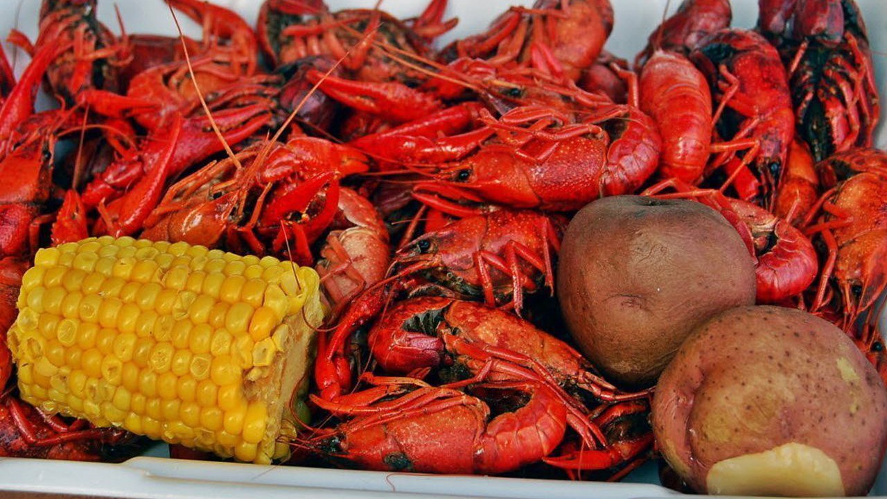 Photo of Others in Gulfport