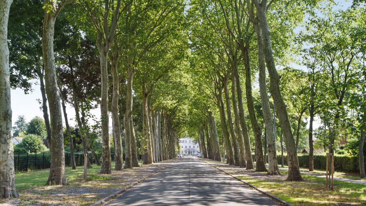 Photo of Outdoor in Marcq-en-Baroeul