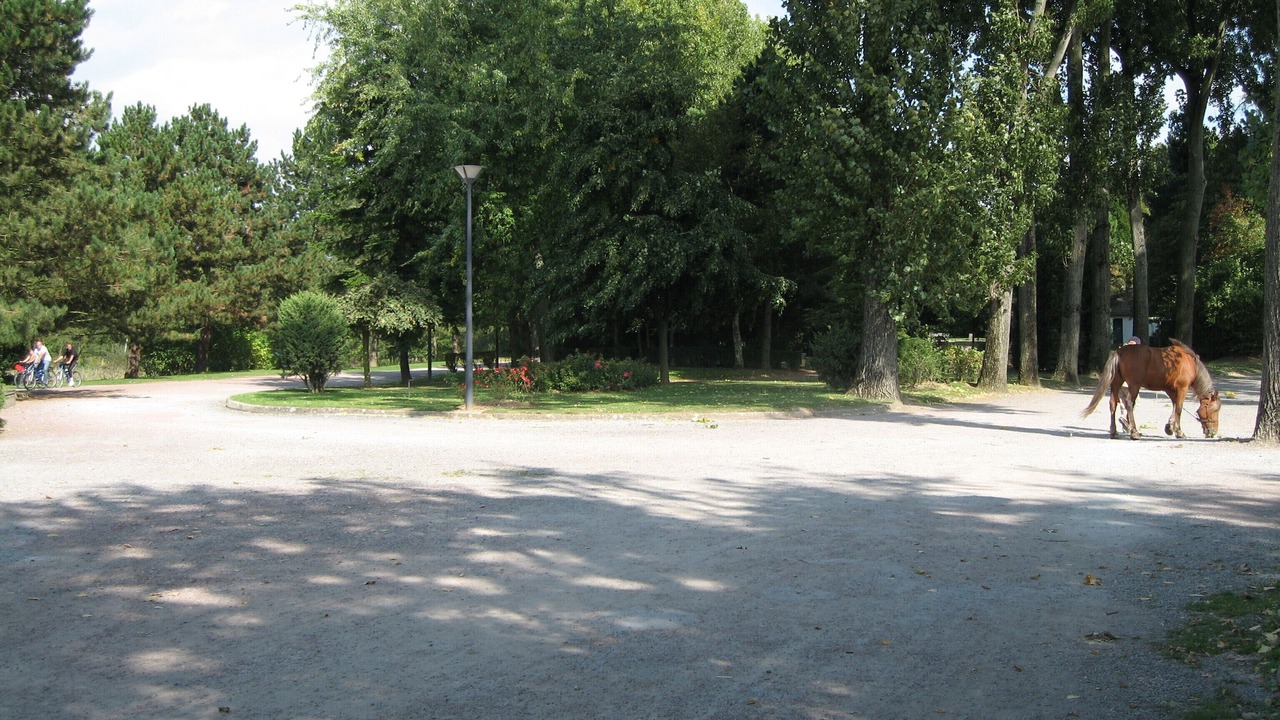 Photo of Others in Saint-Quentin