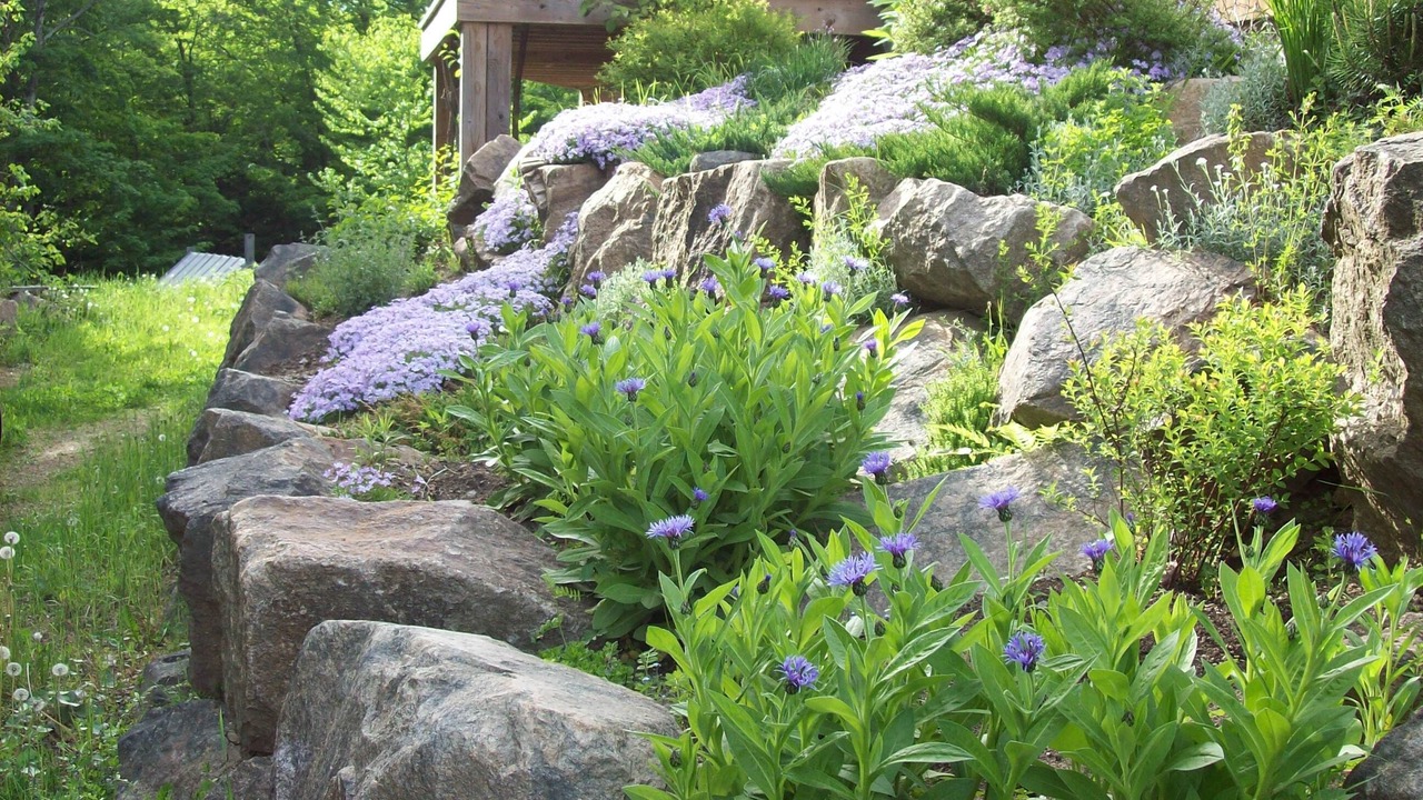 Photo of Outdoor in Stoneham-et-Tewkesbury