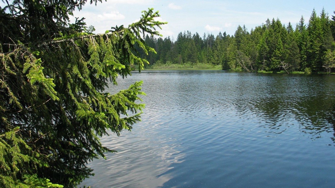 Photo of Outdoor in Montfaucon