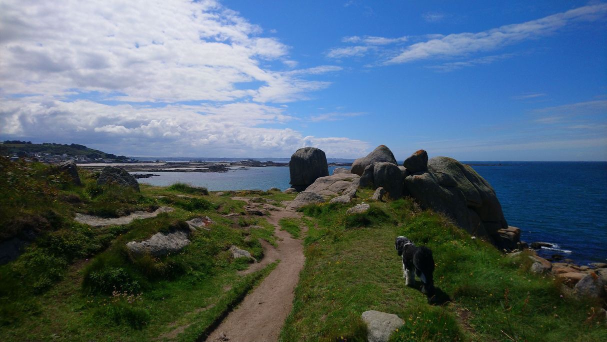 Photo of Others in Tredrez-Locquemeau