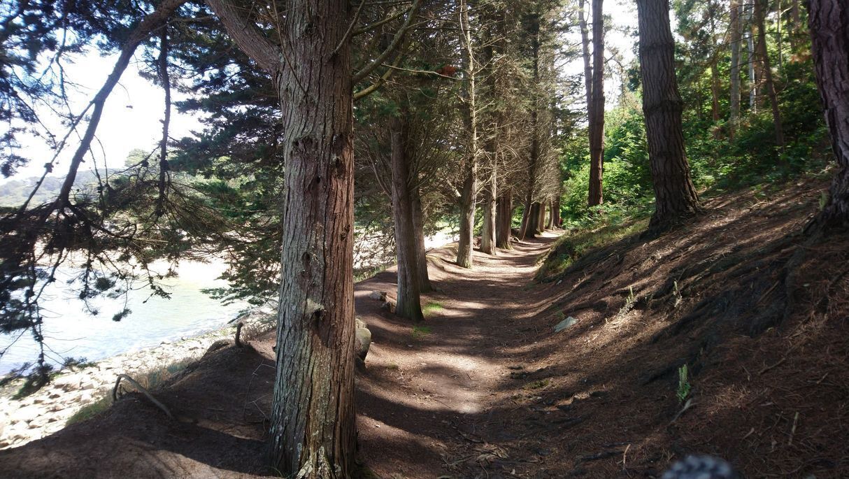 Photo of Outdoor in Tredrez-Locquemeau