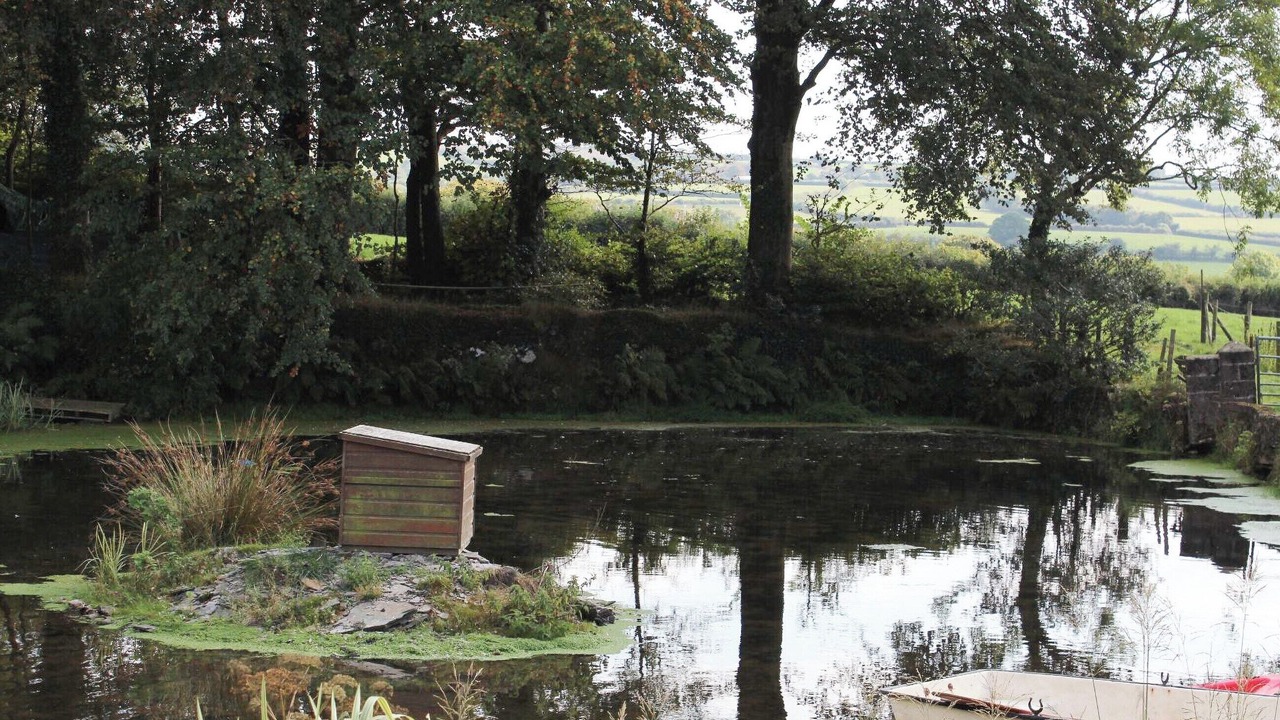 Photo of Others in Cenarth