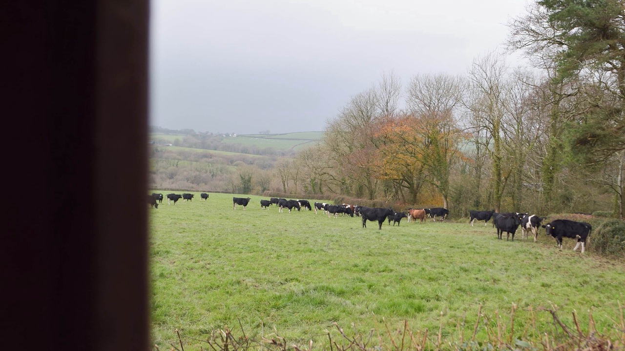 Photo of Others in Cenarth