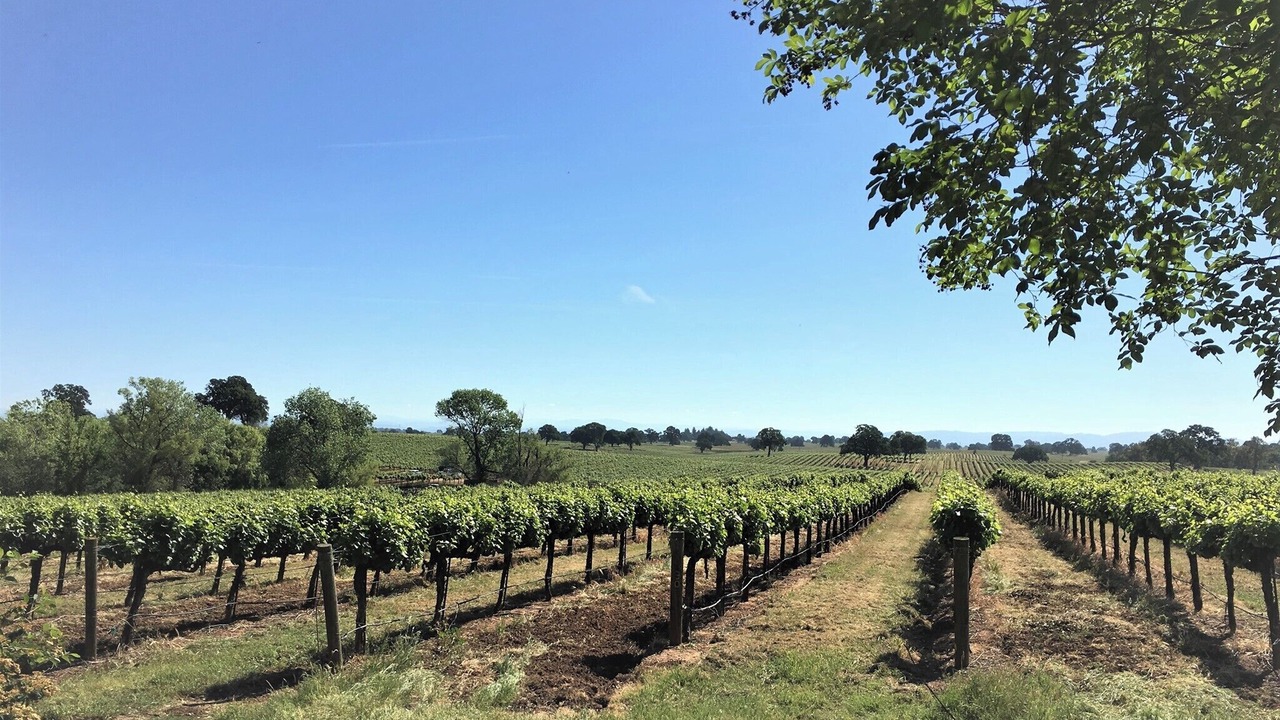 Photo of Others in Victor