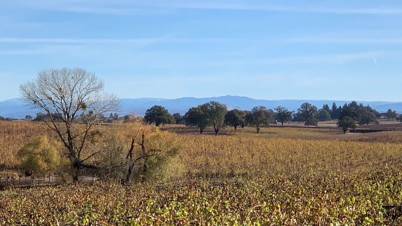 Photo of Others in Victor