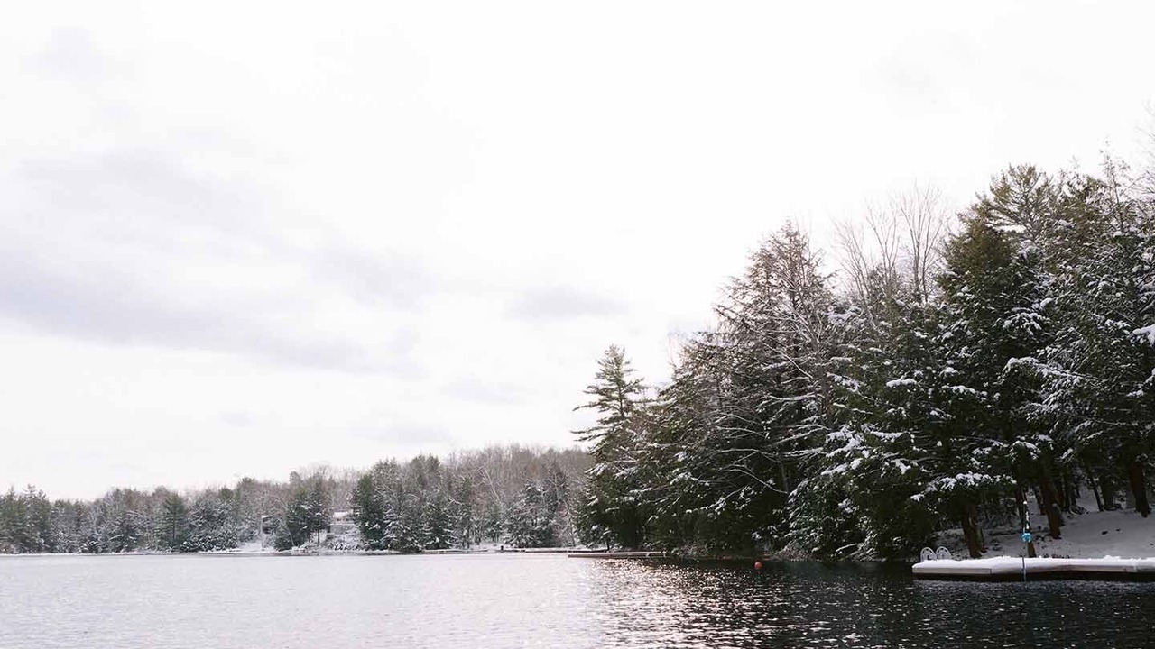 Photo of Others in Utterson