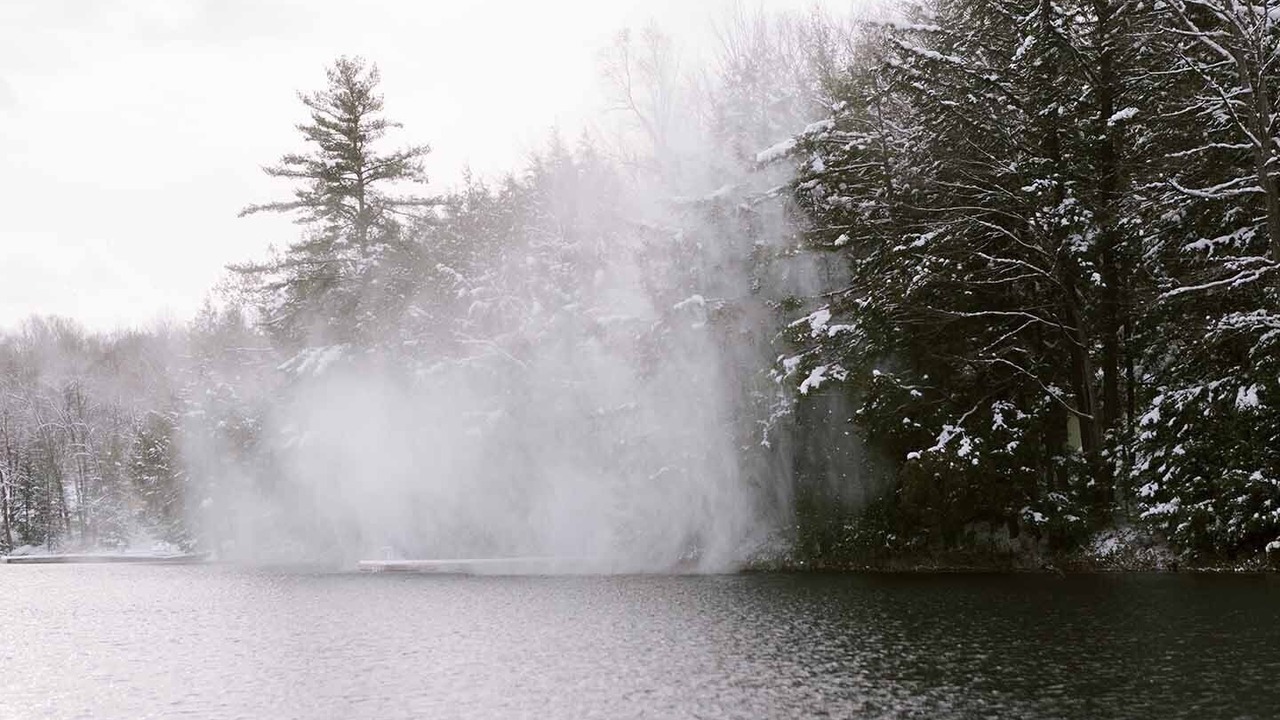 Photo of Others in Utterson