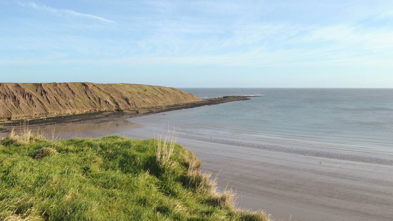 Photo of Others in Driffield