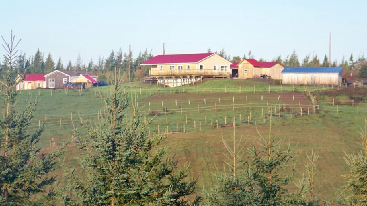 Photo of Outdoor in Guysborough County