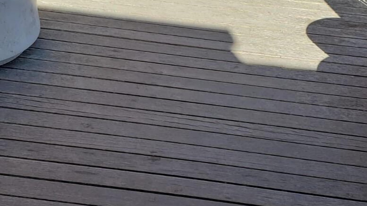 Photo of Others in Dillon Beach