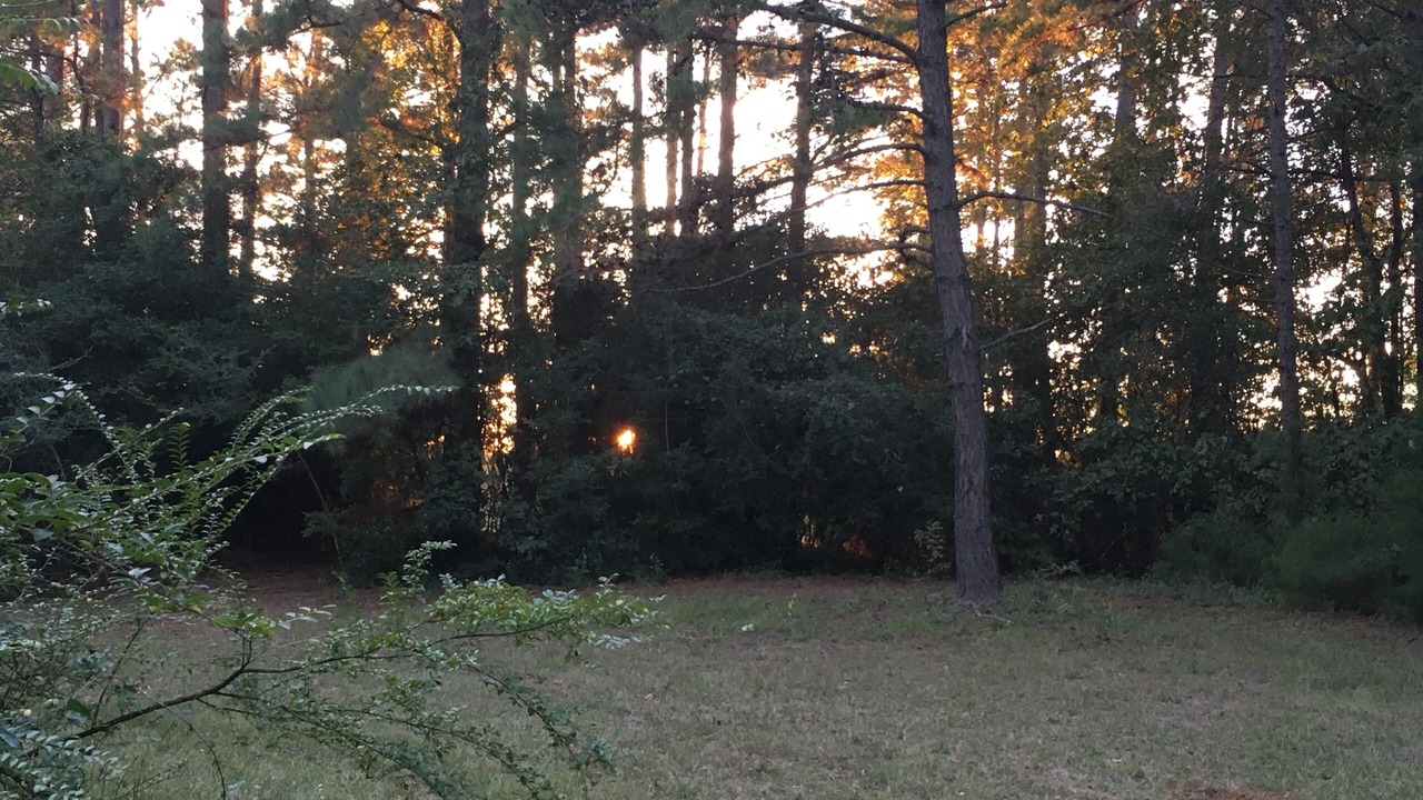 Photo of Outdoor in Lufkin