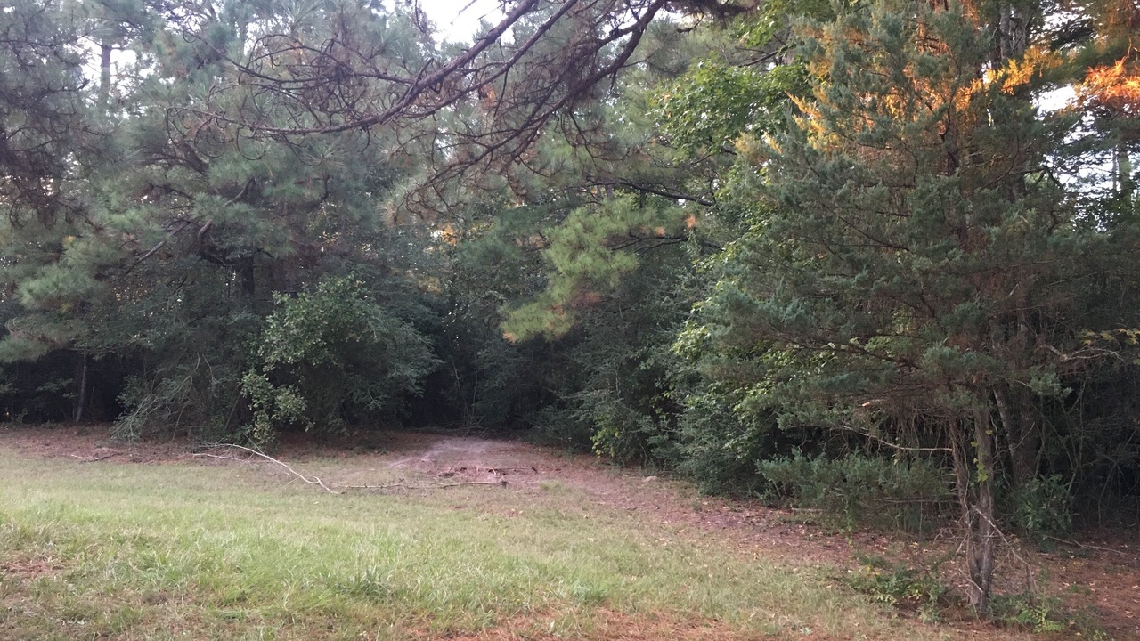 Photo of Outdoor in Lufkin