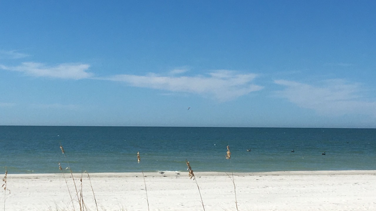 Photo of Others in North Redington Beach