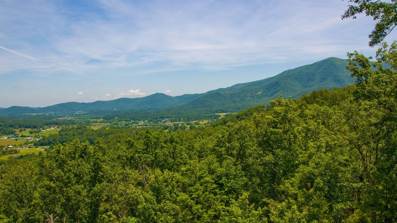 Photo of Others in Wears Valley