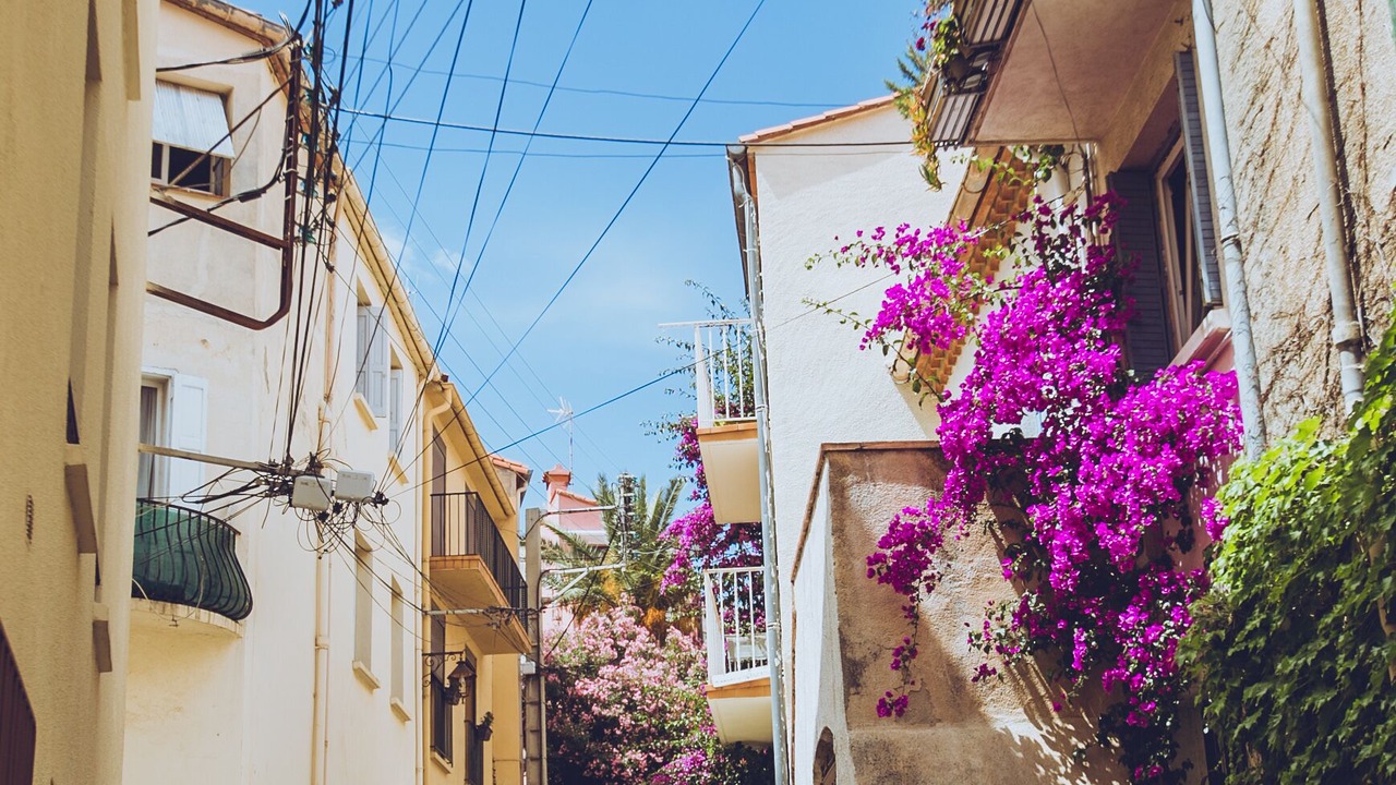 Photo of Outdoor in Banyuls-sur-Mer