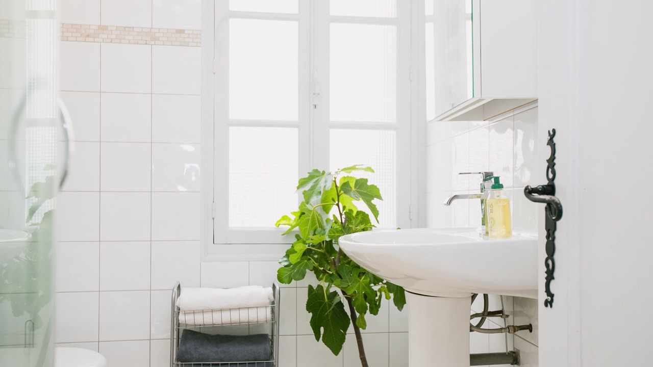 Photo of Bathroom in Banyuls-sur-Mer
