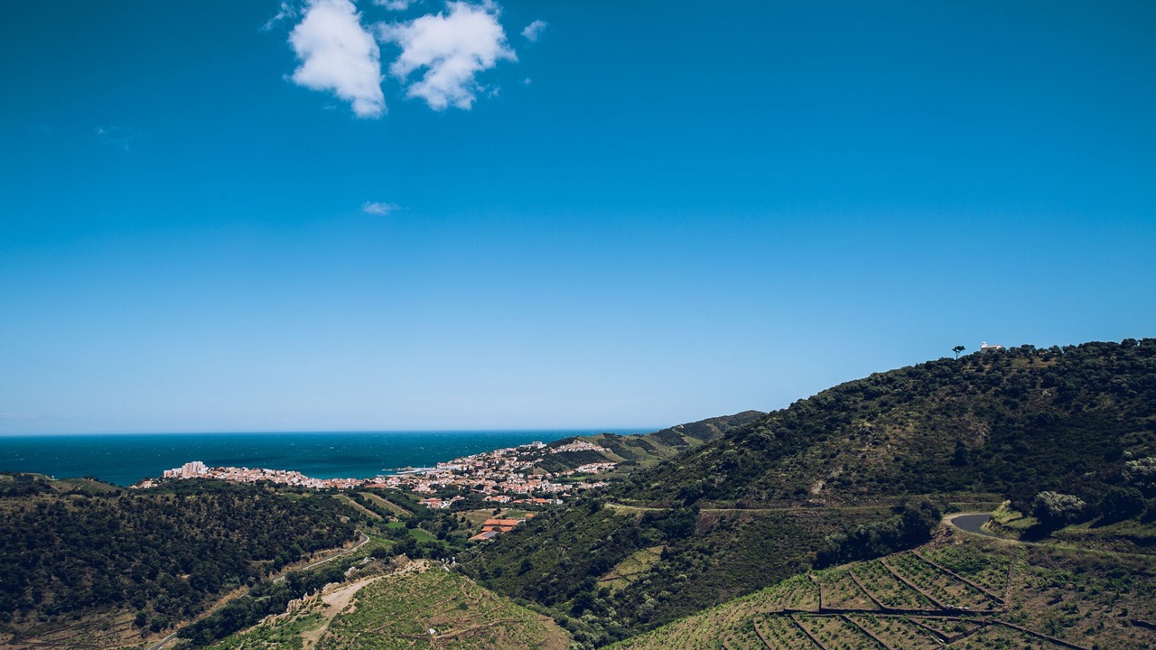 Photo of Others in Banyuls-sur-Mer