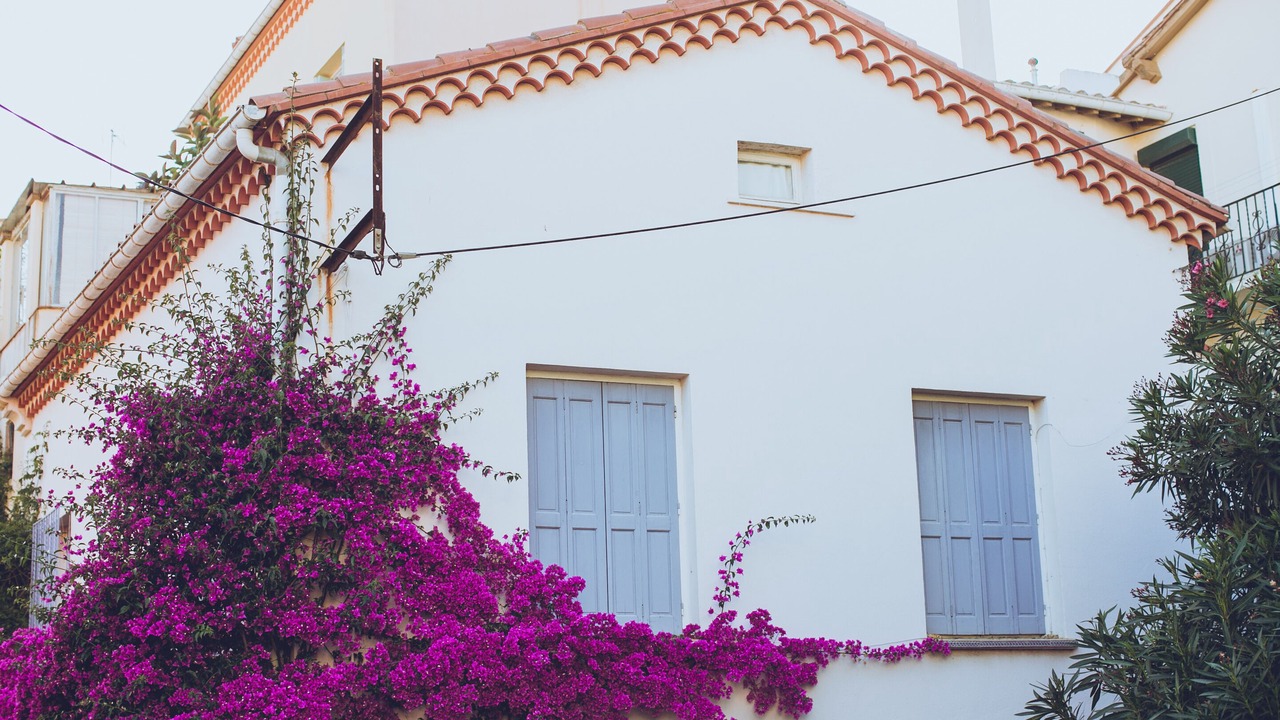 Photo of Outdoor in Banyuls-sur-Mer