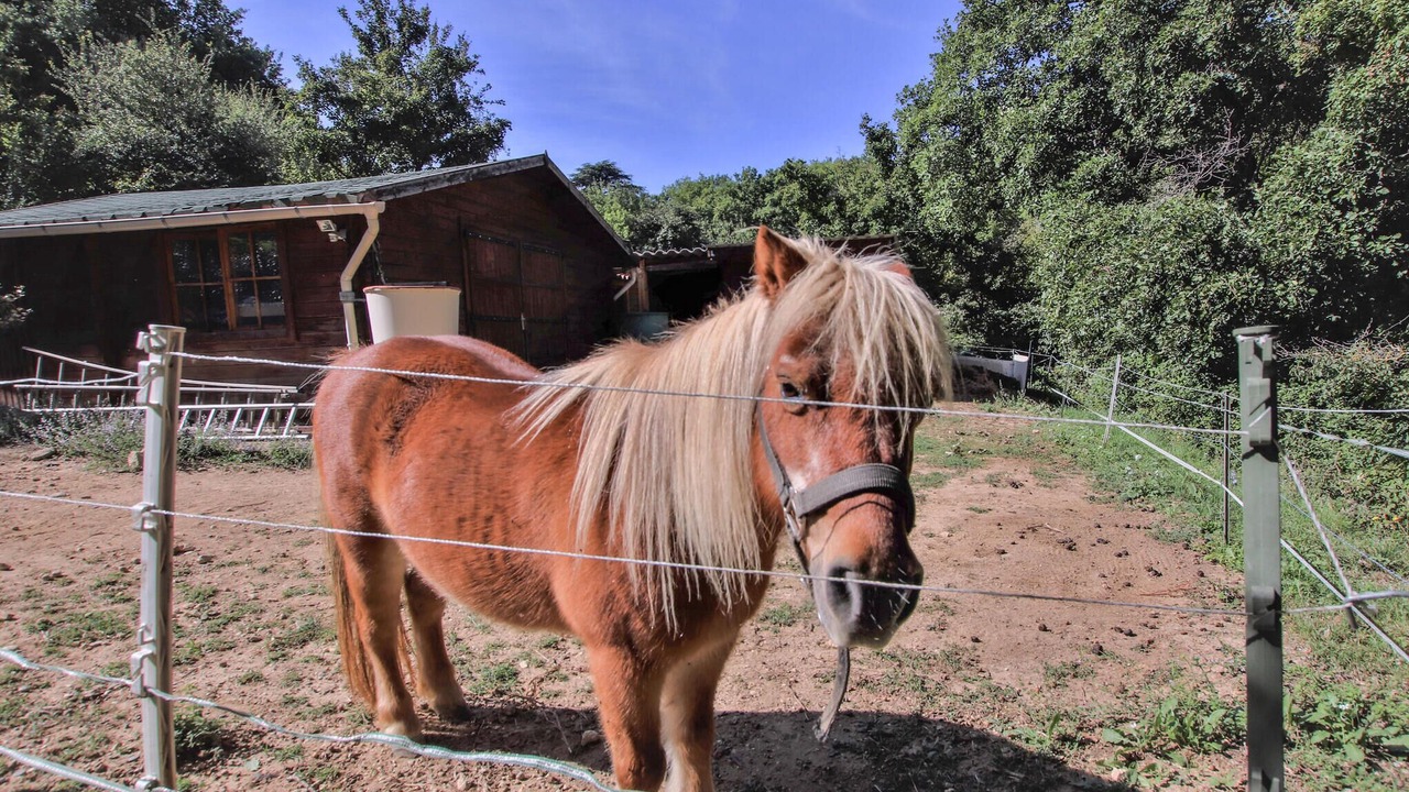 Photo of Others in Saignon