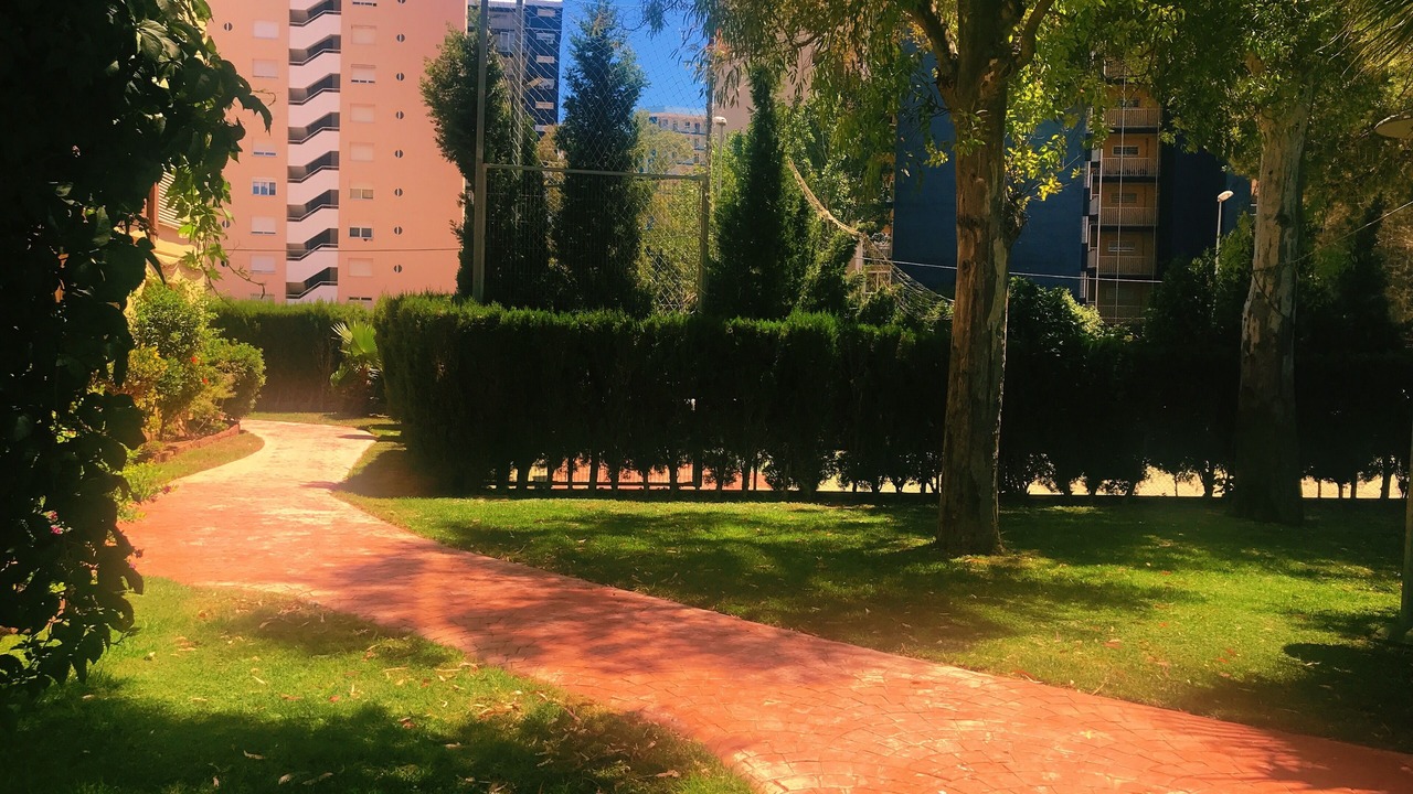 Photo of Outdoor in Playa Pobla de Farnals