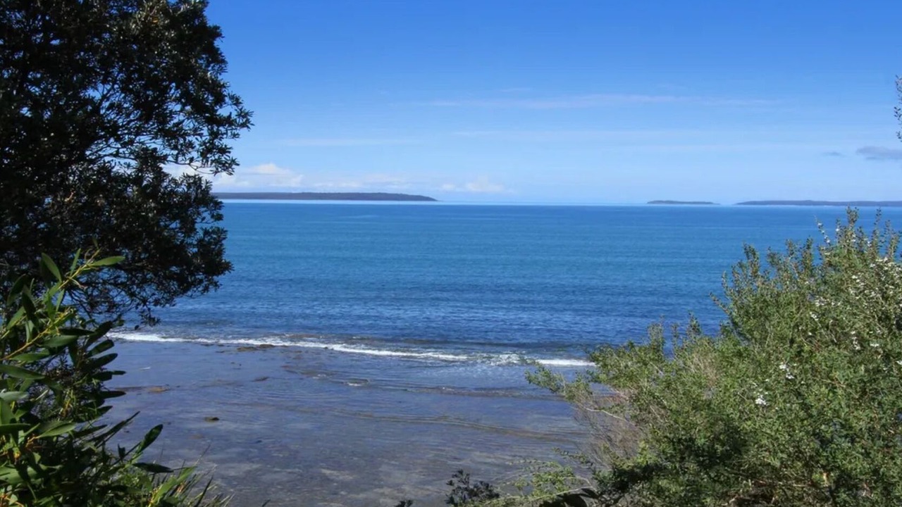 Photo of Others in Callala Bay