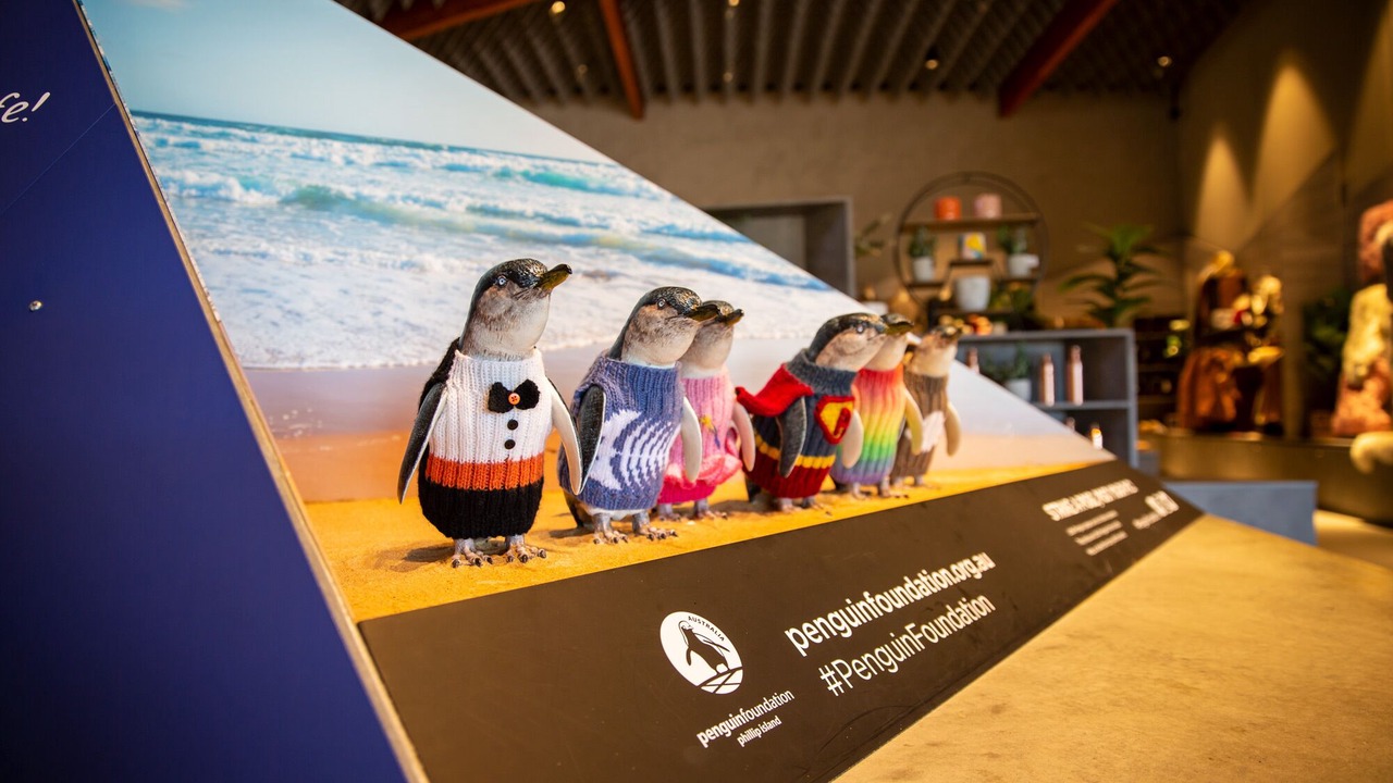 Photo of Others in San Remo