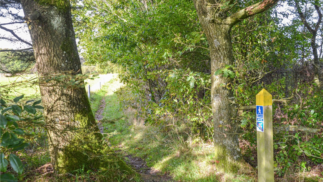 Photo of Others in Hovborg