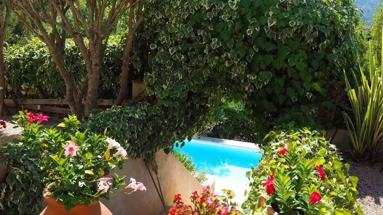 Photo of Outdoor in Pegomas