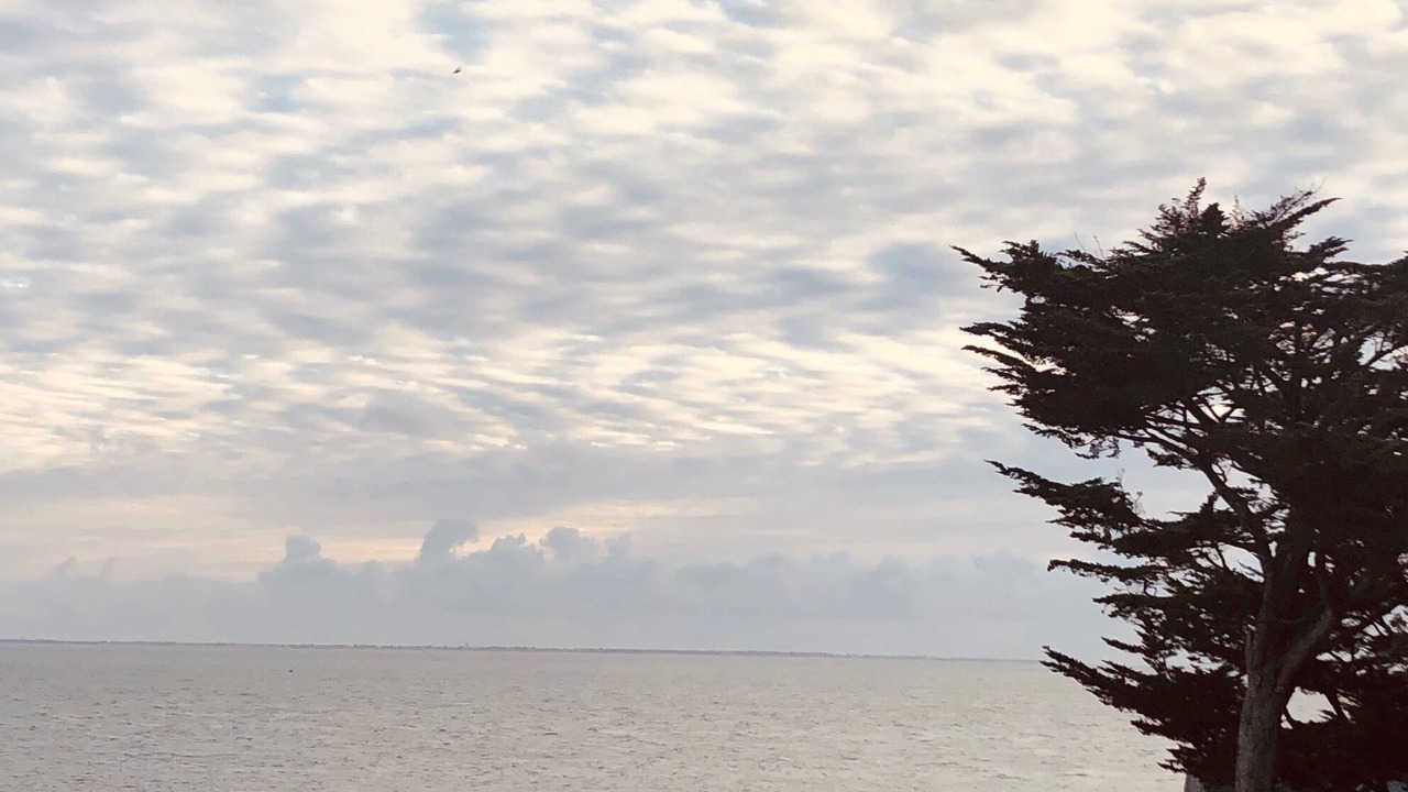 Photo of Others in Prefailles