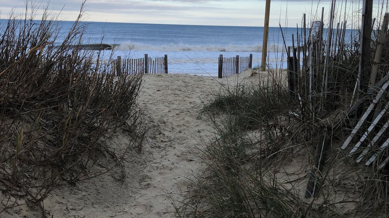 Photo of Others in Kitty Hawk