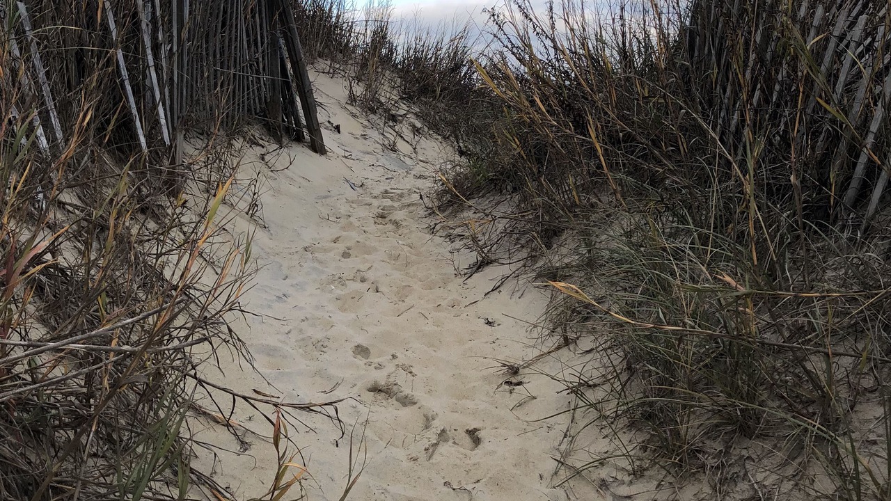 Photo of Others in Kitty Hawk