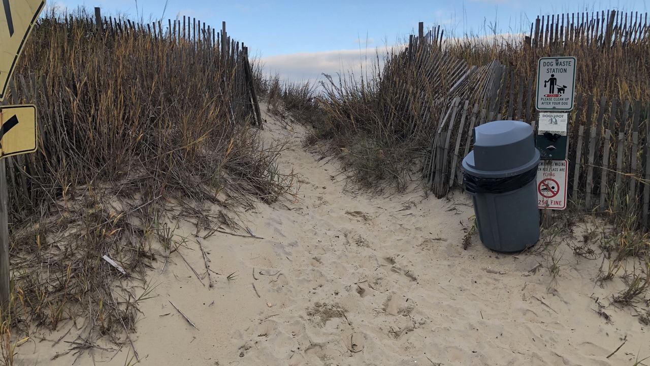 Photo of Outdoor in Kitty Hawk