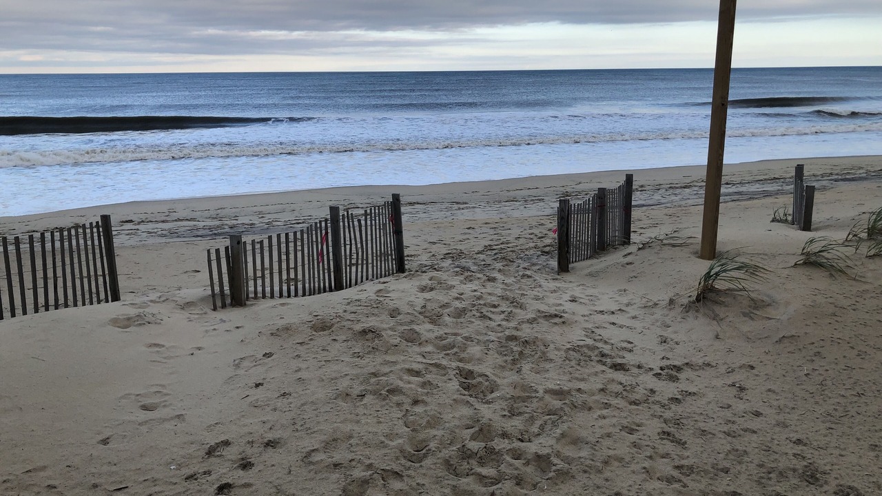 Photo of Others in Kitty Hawk